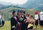 img011.jpg