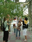 tanabata.gif